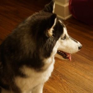 Meet your Posher, Kathleen